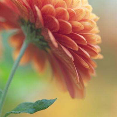 球王会体育app下载