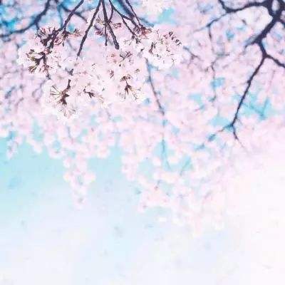 b体育旧版官方下载入口