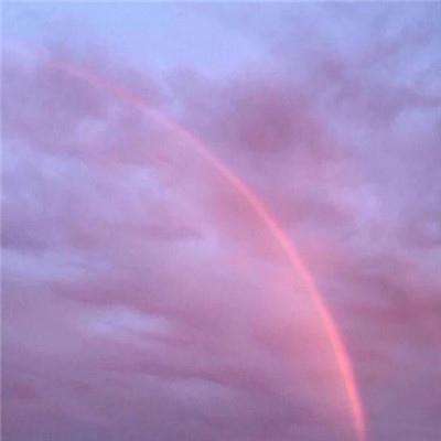 yaboapp手机app下载截图