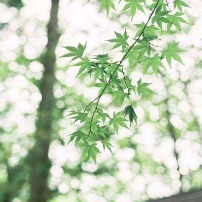 半岛综合娱乐app