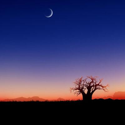 皇家88下载手机版