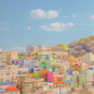 半岛·手机网页版