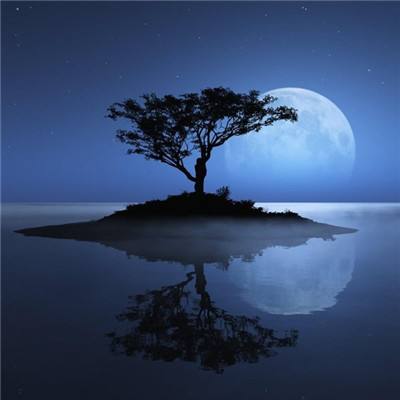 必博手机网页版app下载