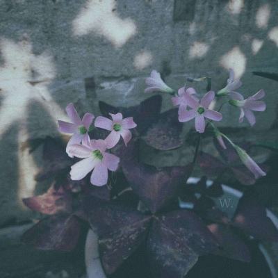 美高梅mgm1888网站