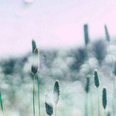 金博宝官网手机app下载